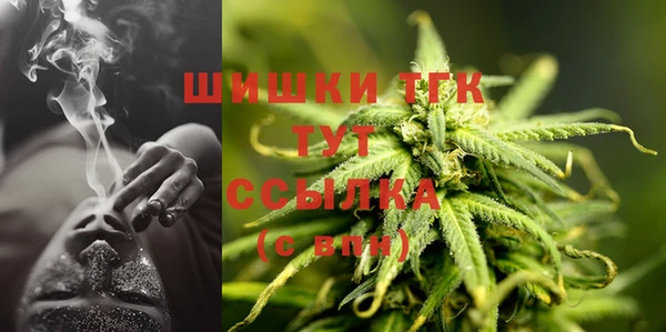 ешки Богородицк
