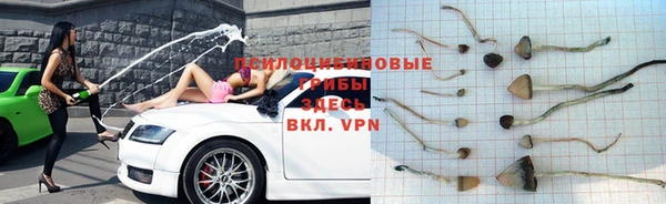 ешки Богородицк